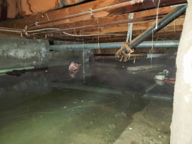 Macdonnell Heights, NY Water damage restoration Company