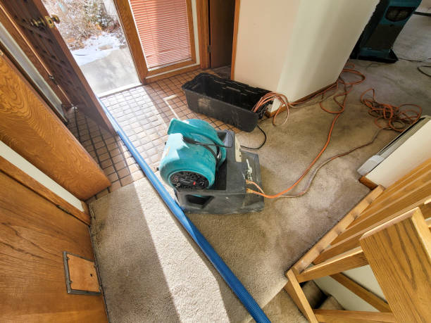 Best Flood restoration services  in Macdonnell Heights, NY