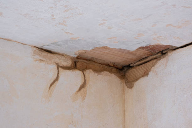 Best Water damage contractors near me  in Macdonnell Heights, NY