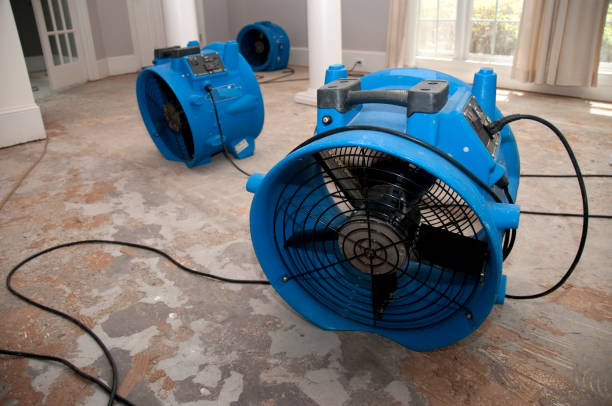 Sewage cleanup and water damage restoration in Macdonnell Heights, NY