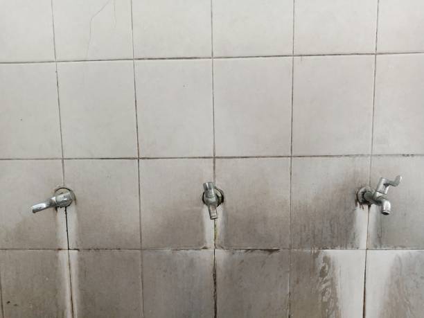 Best 24-hour water damage restoration  in Macdonnell Heights, NY
